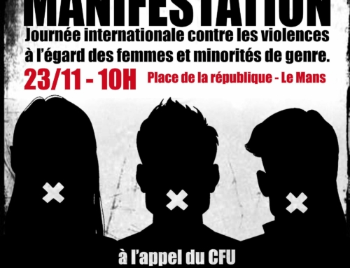 Journée internationale contre les violences à l’égard des femmes et des minorités de genre