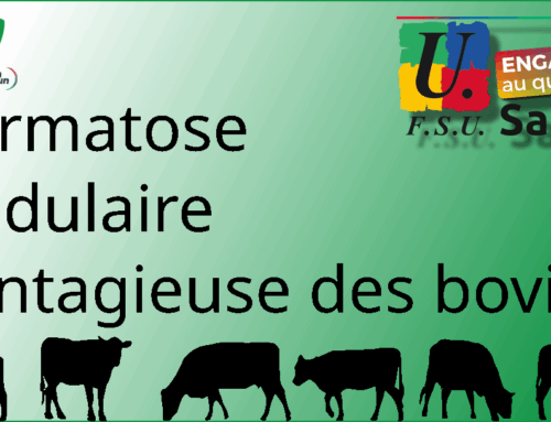 Crise de la DNC : soutien aux paysan•nes et à nos élèves, étudiant•es, apprenti•es et stagiaires en métiers de l&rsquo;élevage